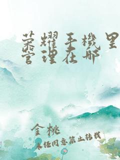 荣耀手机里文件管理在哪