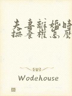 夫妻离婚时孩子抚养权怎么判定