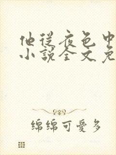 他从夜色中走来小说全文免费阅读