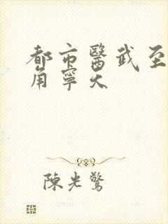 都市医武至尊主角宁天