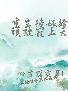 重生后嫁给死对头被宠上天短剧免费观看