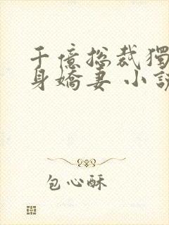 千亿总裁独宠替身娇妻 小说完整