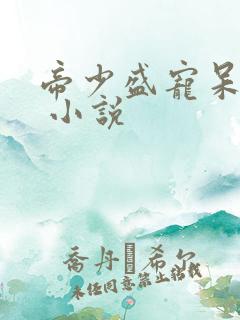 帝少盛宠呆萌妻 小说