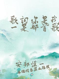 歌词你是我的唯一是哪首歌的歌词