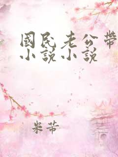 国民老公带回家小说小说