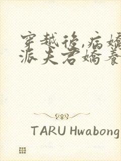 穿越后,病娇反派夫君娇养了我合集