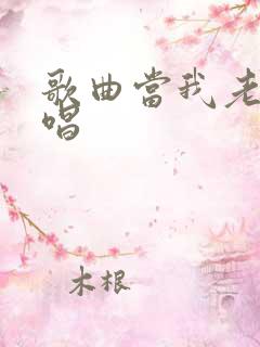 歌曲当我老了原唱