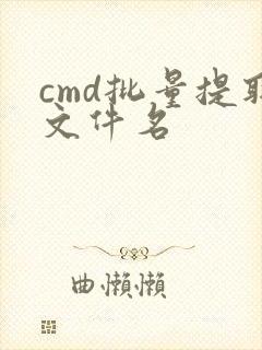 cmd批量提取文件名