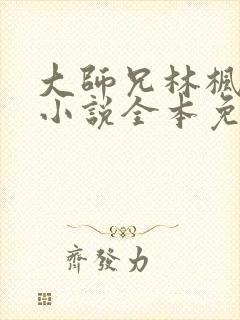 大师兄林枫穿越小说全本免费阅读