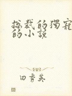 总裁的独宠甜妻的小说