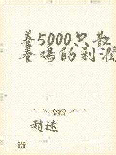 养5000只散养鸡的利润