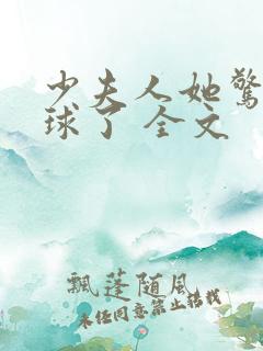 少夫人她惊艳全球了 全文