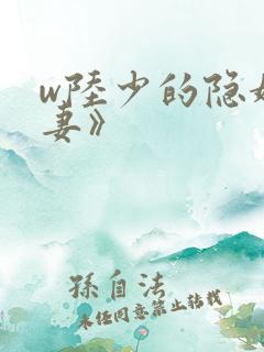 w陆少的隐婚罪妻》