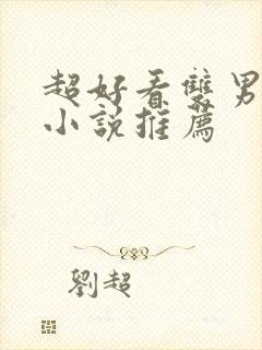 超好看双男主的小说推荐