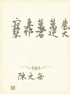 宠妻万万岁 妖孽邪君逆天妃