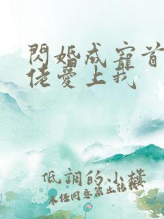 闪婚成宠首富大佬爱上我