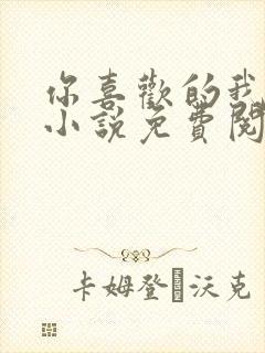 你喜欢的我都要小说免费阅读