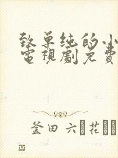 致单纯的小美好电视剧免费观看