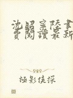 沈昭宁陆聿珩免费阅读最新章节更新