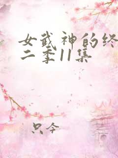 女武神的终末第二季11集