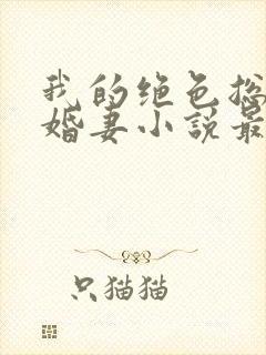 我的绝色总裁未婚妻小说最新章节