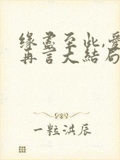 缘尽至此,爱不再言大结局