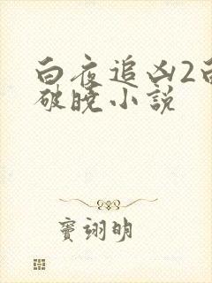 白夜追凶2白夜破晓小说