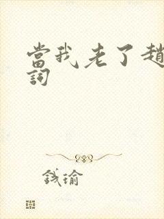 当我老了赵照歌词