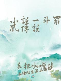 小说一斗罗之龙凰传说