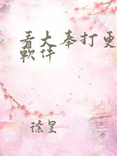 看大奉打更人的软件