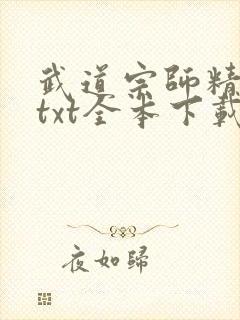 武道宗师精校版txt全本下载