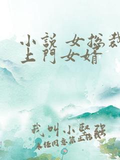 小说 女总裁的上门女婿