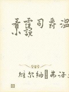 看霍司爵温栩栩小说