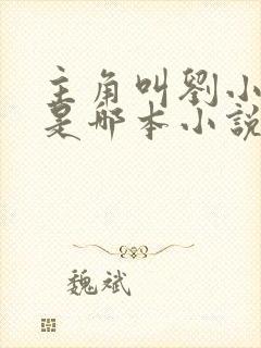 主角叫刘小白的是哪本小说