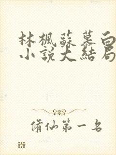 林枫苏慕白穿越小说大结局