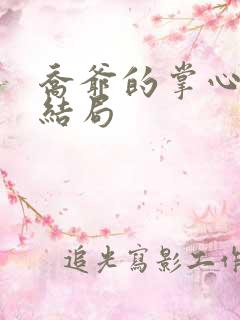 乔爷的掌心娇大结局