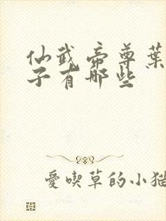 仙武帝尊叶辰孩子有哪些