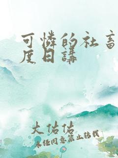 可怜的社畜 东度日讲