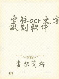 云脉ocr文字识别软件