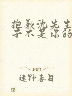 抱歉沈先生,孩子不是你的短剧全集大结局