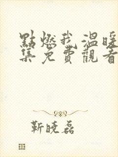 点燃我温暖你全集免费观看完整版