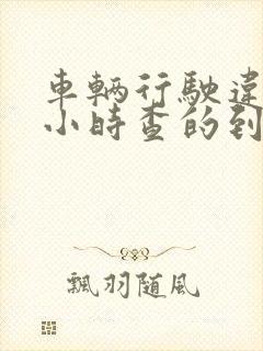 车辆行驶违规几小时查的到