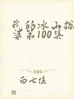 我的冰山总裁老婆第100集