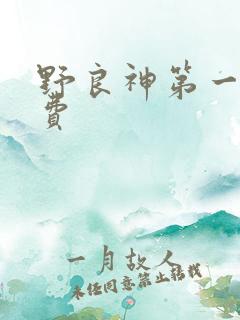 野良神第一季免费