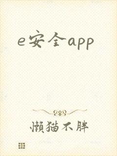 e安全app