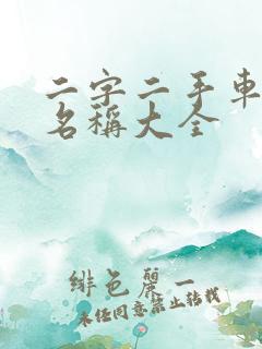 二字二手车公司名称大全