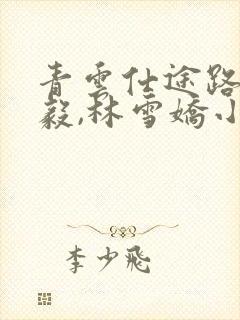 青云仕途路,楚毅,林雪娇小说