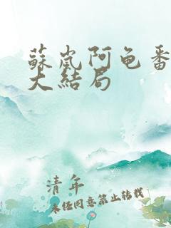 苏岚阿龟番外篇大结局