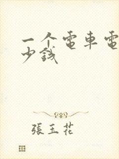 一个电车电瓶多少钱