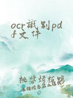 ocr识别pdf文件